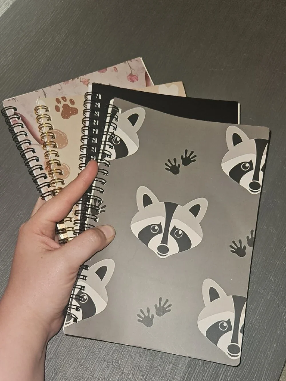 Spiral Notebooks 8